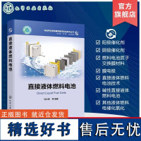 先进电化学能源存储与转化技术丛书 直接液体燃料电池 电化学 催化剂 质子交换膜 膜电极技术 电池集体成及应用 碱性燃料电