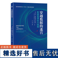 穿越数据的迷宫 数据管理执行指南 劳拉 塞巴斯蒂安 科尔曼 计算机 DAMA OMBOK 认证教材 隐私 安全