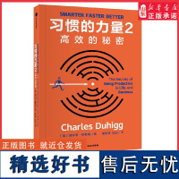 习惯的力量2高效的秘密习惯的力量续篇拒绝996取得好业绩的的实操指南掌控习惯的力量让你的人生和事业焕然一新正版书籍