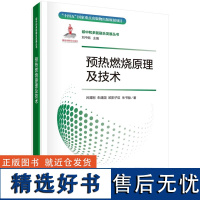 预热燃烧原理及技术9787508863696吕清刚科学出版社