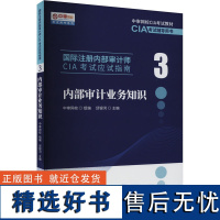 内部审计业务知识 邱银河 编 统计 审计经管、励志 正版图书籍 中国财政经济出版社