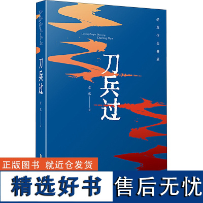 刀兵过 老藤 著 现代/当代文学文学 正版图书籍 安徽文艺出版社