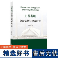 巴基斯坦能源法律与政策研究