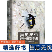 常见昆虫野外识别手册(长江三角洲卷) 大城小虫工作室 编 科普读物/自然科学/技术类原版书专业科技 正版图书籍