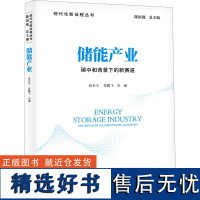 储能产业 碳中和背景下的新赛道 张长令,吴鹏飞 编 中国经济/中国经济史经管、励志 正版图书籍 中国发展出版社