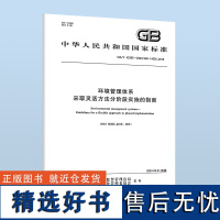 GB/T 43385-2023 环境管理体系 采取灵活方法分阶段实施的指南