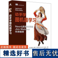 动手学图机器学习 亚历山德罗·内格罗 讲述图机器学习工程实战 数据源建模算法设计教程 人工智能自然语言处理 彩图印刷