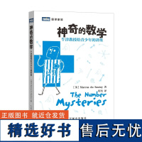 神奇的数学(牛津教授给青少年的讲座)/图灵新知