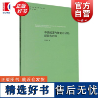 中美能源气候竞合研究经验与启示 王联合著上海人民出版社其他经济学理论