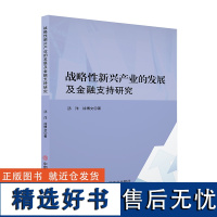 战略性新兴产业的发展及金融支持研究