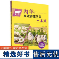 肉羊高效养殖问答一本通 马友记 编 肉羊高效养殖技术 羊场肉羊育种技术 含彩图扫码视频 羊场经营管理 肉羊疫病防控书籍