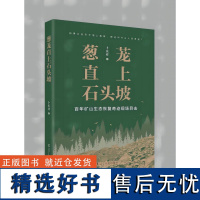 葱茏直上石头坡:百年矿山生态恢复奇迹现场目击