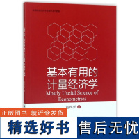 基本有用的计量经济学(高等院校经济学管理学系列教材)