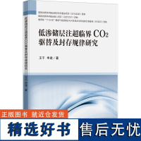 低渗储层注超临界CO2驱替及封存规律研究 王千,申建 著 大学教材大中专 正版图书籍 中国矿业大学出版社