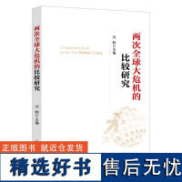 两次全球大危机的比较研究 经济学原理金融书籍 中国新经济政策的风向标 经济发展理论的十位大师 学通识 书籍