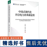 中国式现代化开启电力改革新征程 王鹏,王冬容,李阳 著 经济理论经管、励志 正版图书籍 浙江大学出版社