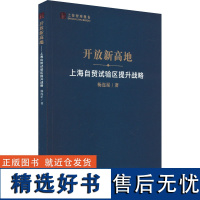 开放新高地 上海自贸试验区提升战略 杨连星 著 经济理论经管、励志 正版图书籍 上海人民出版社