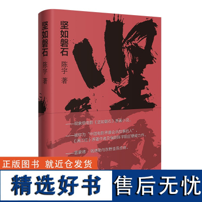 坚如磐石 陈宇 著 侦探推理/恐怖惊悚小说文学 正版图书籍 花城出版社