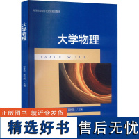 大学物理 程素君,蒋利娟 编 大学教材大中专 正版图书籍 北京大学出版社