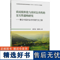 农民组织化与农村公共性的交互性建构研究——兼论中国农业农村现代化之路 翟军亮,饶梦彤 著 大学教材大中专 正版图书籍