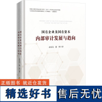 国有企业及国有资本内部审计发展与趋向 袁亮亮,陈桥 著 统计 审计经管、励志 正版图书籍 广东经济出版社