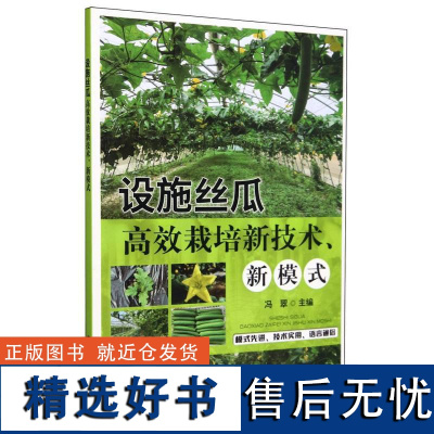 设施丝瓜高效栽培新技术新模式 冯翠 设施丝瓜栽培书 设施丝瓜常见病虫害防治高效栽培书 丝瓜生产常见病虫害防治与采后技术