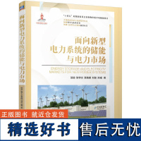 面向新型电力系统的储能与电力市场 贺徙 新型储能规模技术工程产业政策发展书籍 **电网市场机制优化政策建议指南