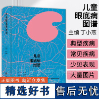 儿童眼底病图谱 丁小燕 主编 眼科学书籍 人民卫生出版社 9787117362726