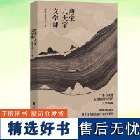 正版 唐宋八大家文学课 一本书读懂唐朝到宋代的文学精神 苏轼苏洵苏辙柳宗元韩愈王安石曾巩欧阳修人物传记 中国古诗词书籍