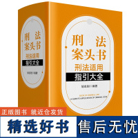 刑法案头书:刑法适用指引大全