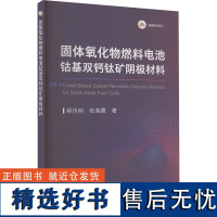 固体氧化物燃料电池钴基双钙钛矿阴极材料 姚传刚,张海霞 著 工业技术其它专业科技 正版图书籍 冶金工业出版社