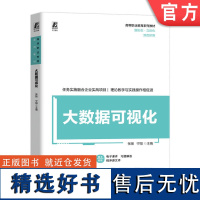 正版 大数据可视化 张扬 宁阳 9787111753957 机械工业出版社 教材