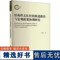 结构性去杠杆的推进路径与宏观政策协调研究 王连军 著 经济理论经管、励志 正版图书籍 吉林大学出版社