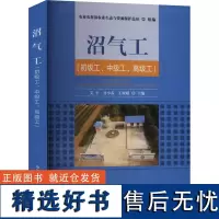 沼气工 艾平,万小春,王媛媛 等 编 农业基础科学专业科技 正版图书籍 中国农业出版社