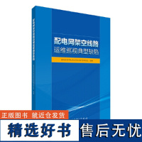 配电网架空线路运维巡视典型缺陷