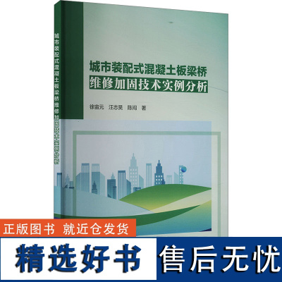 城市装配式混凝土板梁桥维修加固技术实例分析 徐宙元,汪志昊,陈闯 著 建筑/水利(新)专业科技 正版图书籍