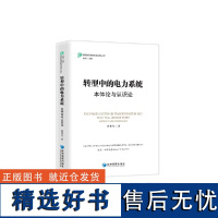 转型中的电力系统--本体论与认识论