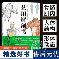 艺用解剖书 加藤公太 骨骼肌肉人体结构形体动态 艺术绘画入门解剖学绘画技巧短时间学习艺用解剖学 参考案例学习 电子工业出