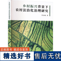 乡村振兴背景下农村法制化治理研究 李金鹏 著 法学理论社科 正版图书籍 中国原子能出版社