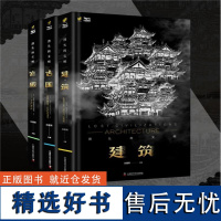 出版社自营]消失的文明系列 共三本 建筑+古国+宫殿 探寻消失的文明解开扑朔迷离的历史谜团 历史爱好者书籍正版书