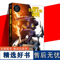 正版 蝙蝠侠:白骑士的诅咒 尚恩·墨菲著 DC黑标系列作品《蝙蝠侠白骑士》续作漫画蝙蝠侠系列漫画外传动漫画册图像小说