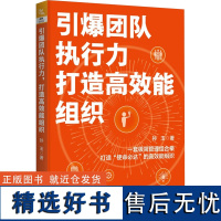 引爆团队执行力 打造高效能组织 孙玉 著 企业管理经管、励志 正版图书籍 中国铁道出版社有限公司