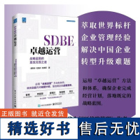 SDBE卓越运营 战略蓝图的高效兑现之道 胡荣丰,杜晴川,张美军 著 广告营销经管、励志 正版图书籍 电子工业出版社