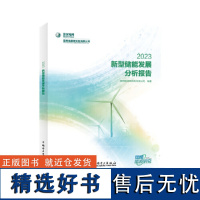 新型储能发展分析报告 2023