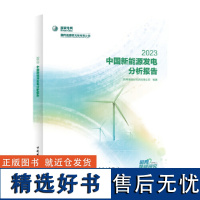 中国新能源发电分析报告 2023