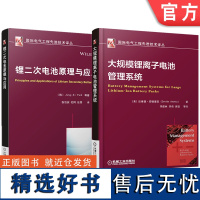 套装 锂离子电池管理系统系列 锂二次电池原理与应用+大规模锂离子电池管理系统(全2册)