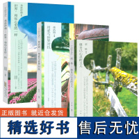  3册西方哲学大师哲思录大师开讲荣格做自己心灵的主人+大师开讲·弗洛伊德世界和你心里的一样+大师开讲弗洛姆用爱与世界对抗