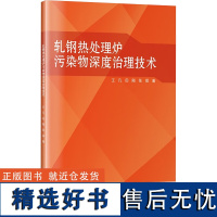 轧钢热处理炉污染物深度治理技术 王凡,田刚,张辰 著 冶金工业专业科技 正版图书籍 哈尔滨工业大学出版社