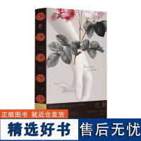 红唇 曼努埃尔普伊格著 拉美文学后现代经典作浪子文学代表作拼贴风意识流 阿根廷文学小说外国文学小说 广西师范大