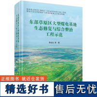 东部草原区大型煤电基地生态修复与综合整治工程示范